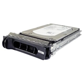 Dell 146 GB 3.5" 15K SAS HDD Hot Swap Festplatte 0JP620 mit Rahmen