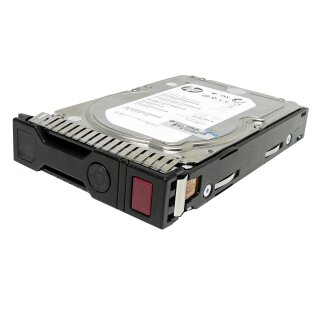 HP 4TB HDD 3.5" 7.2k 6G SAS HotSwap Festplatte 695842-001 698695-003 mit Rahmen