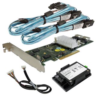 Fujitsu D2616-A22 GS1 6Gb PCIe x8 Dual-Port SAS RAID-Controller + iBBU +Kabel FP