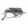 Dell 0PGP6R 02RRVJ SAS Expansion Board + Backplane 24x 2.5” für PowerEdge R730XD +Cable