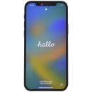 Apple iPhone 12 64GB Black A2403 Smartphone - Schwarz ohne Simlock B-Ware
