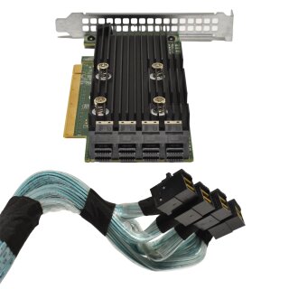 DELL Extender Expansion NVMe PCIe x 16 SAS Controller für R730