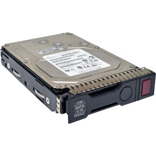 HP 6TB 3,5" 7,2K 3G HDD SATA HotSwap Festplatte 793762-001 803633-001 mit Rahmen