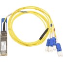 Delta QSFP-100GB4FDRB 1.8m 100G PSM4 QSFP+ auf 4x 25G...