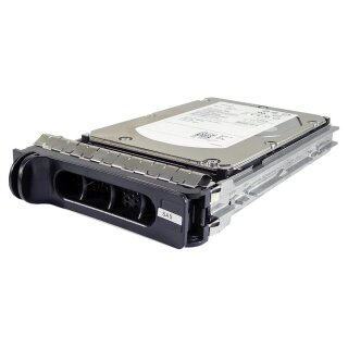 Dell 146 GB 3.5" 15K SAS Hot Swap Festplatte 0RY491 RY491 mit Rahmen