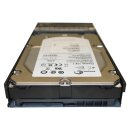 Network Appliance 600GB 3.5 15K SAS HotSwap HDD SP-412A-R6 108-00227  mit Rahmen