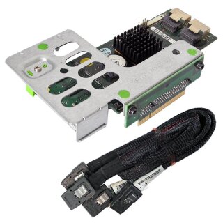 Fujitsu Primergy RX200 S6 PCIe x8 SAS RAID Controller D2516-C11 GS1 + SAS Kabel